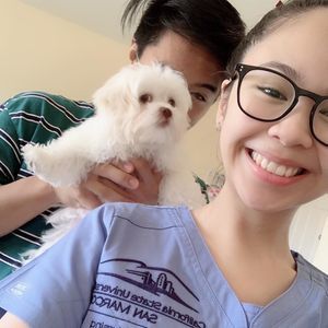 Meet your Posher, Marco